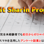 アンケート副業,PSP,松浦祐樹,の商材検証！激安なのに実践すればガチで稼げる内容