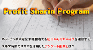 アンケート副業,PSP,松浦祐樹,の商材検証！激安なのに実践すればガチで稼げる内容