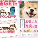 シナジー,株式会社マーケティング,は副業詐欺？舘隼人,怪しい案件口コミも調査