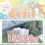 株式会社アイコン,好きな写真を選んで3万円GET,副業詐欺,？やばい事実発覚！